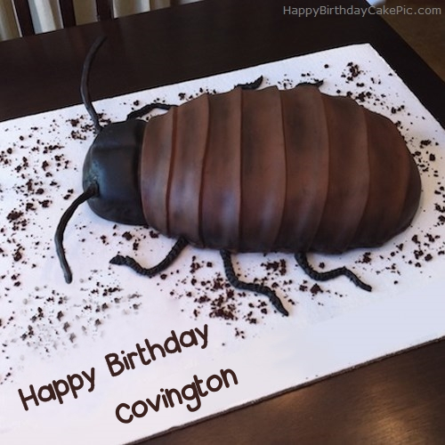 write name on Cockroach Birthday Cake