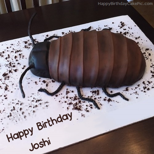 write name on Cockroach Birthday Cake