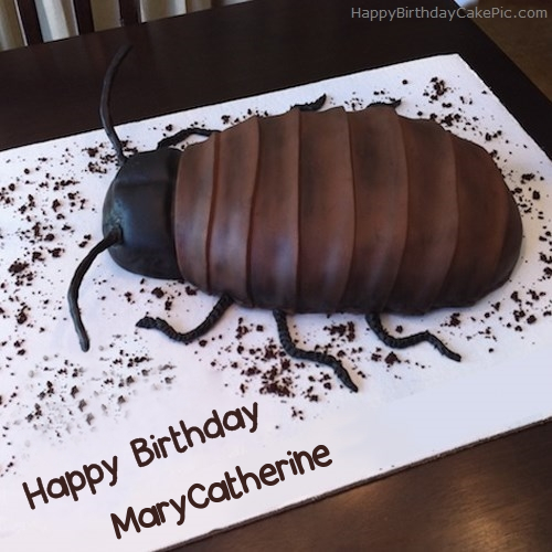 write name on Cockroach Birthday Cake