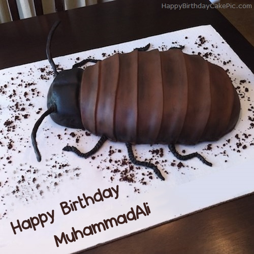 write name on Cockroach Birthday Cake