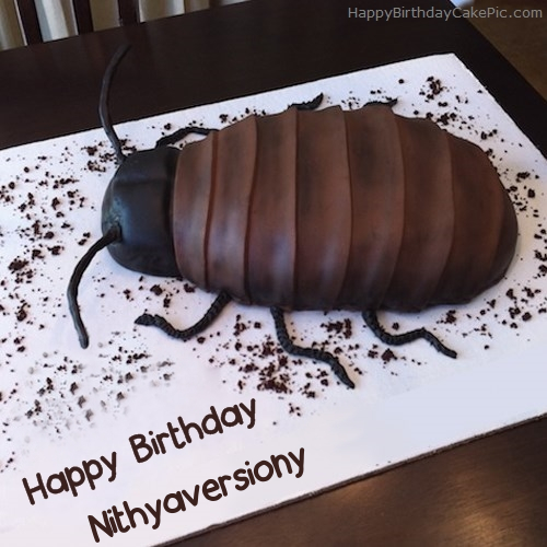 write name on Cockroach Birthday Cake